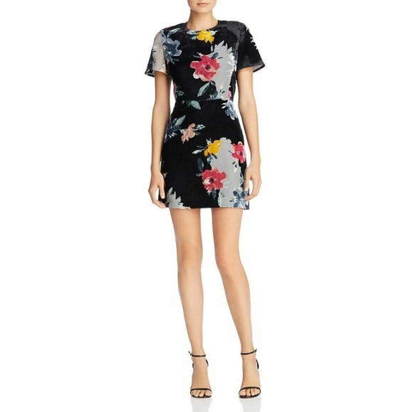 NWT French Connection Wilma Devore Burnout Dress sz 0 - Picture 1 of 9